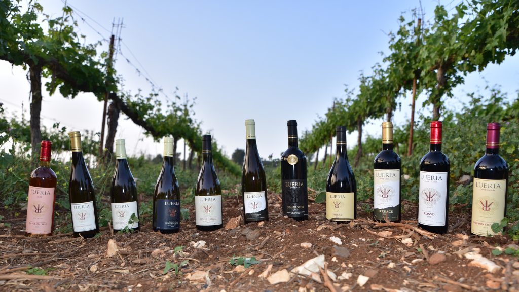 lueria wines (5)