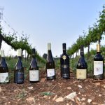 lueria wines (5)